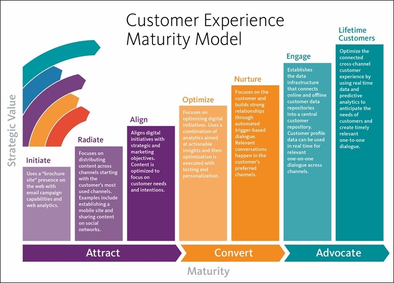 Customer experience maturity Model